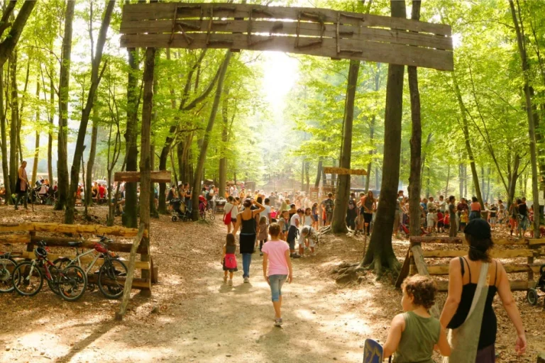 Festa di Redde
